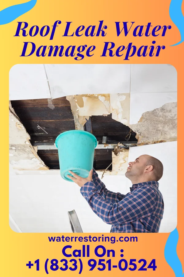 Roof Leak Water Damage Repair in Turton, SD